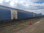 CPS FLT-034792-2